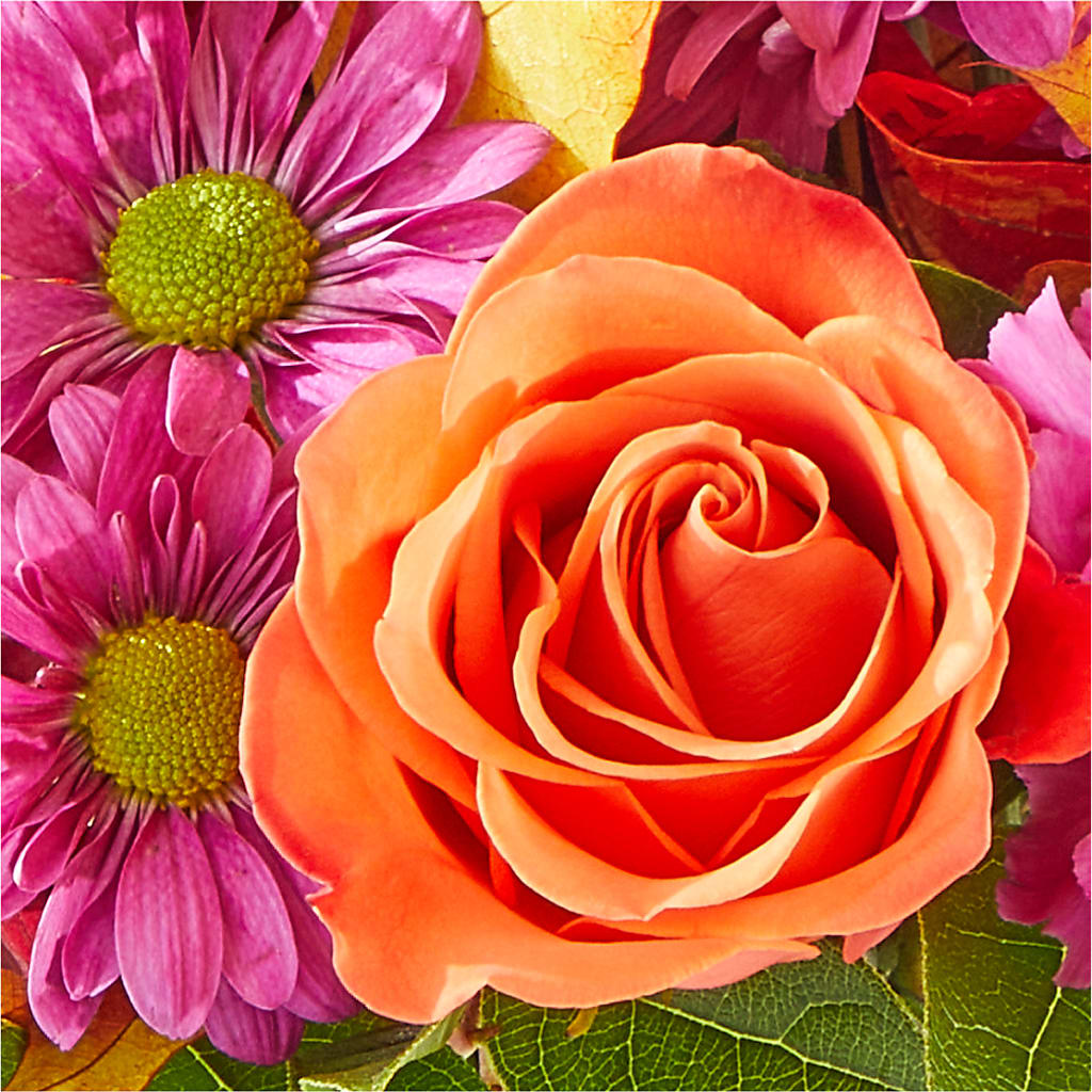 Mum's the Word Bouquet –  Print A Bunch Florists, Orleans ON