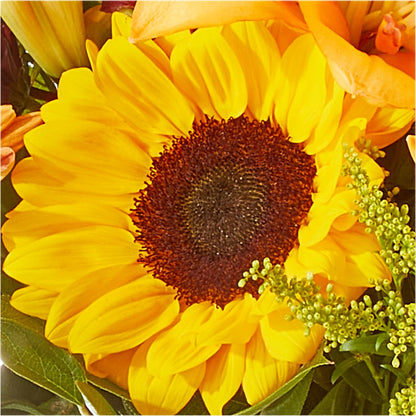Seasons Change Bouquet –  Print A Bunch Florists, Orleans ON