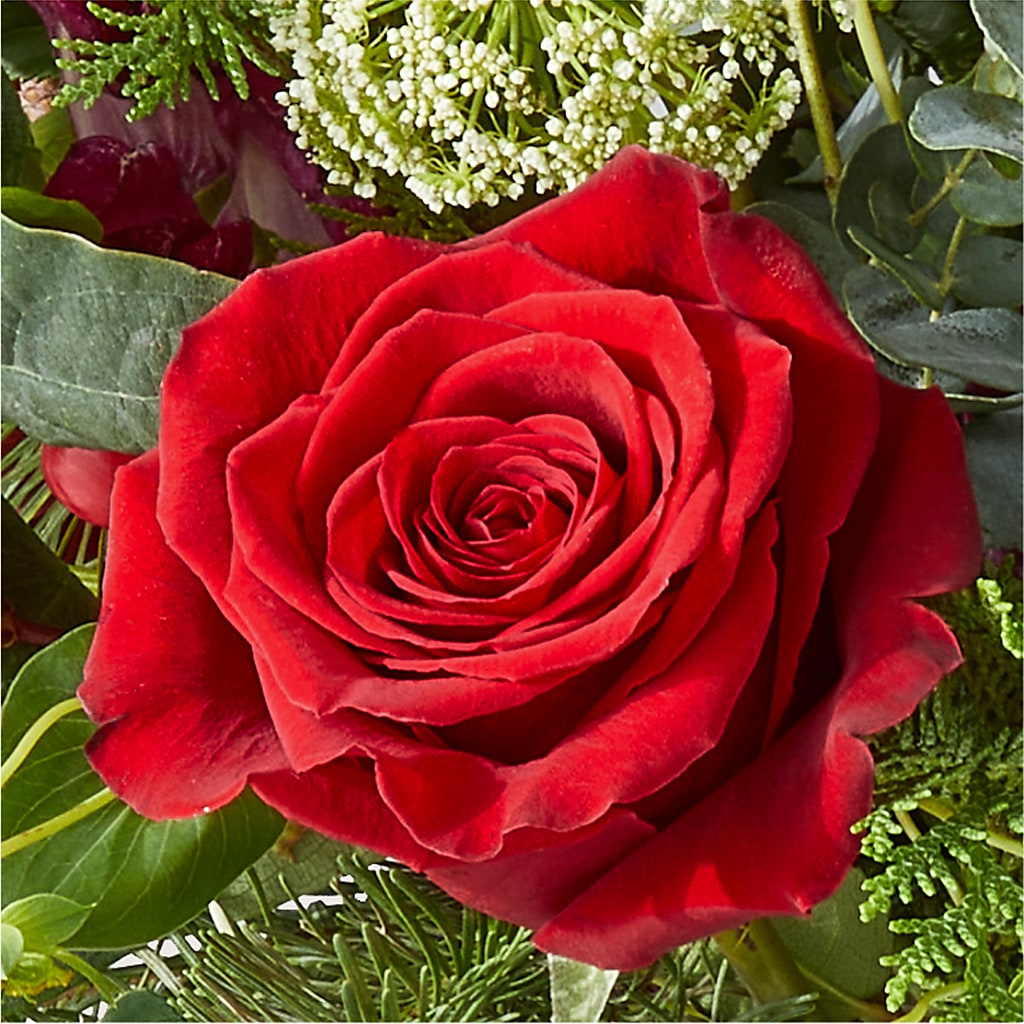 Cranberry Fizz Bouquet –  Print A Bunch Florists, Orleans ON