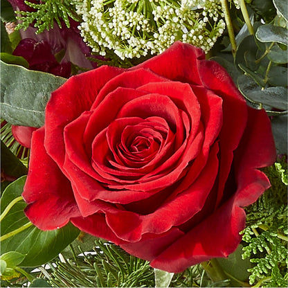 Cranberry Fizz Bouquet –  Print A Bunch Florists, Orleans ON