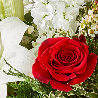 Twinkle Lights Bouquet –  Print A Bunch Florists, Orleans ON