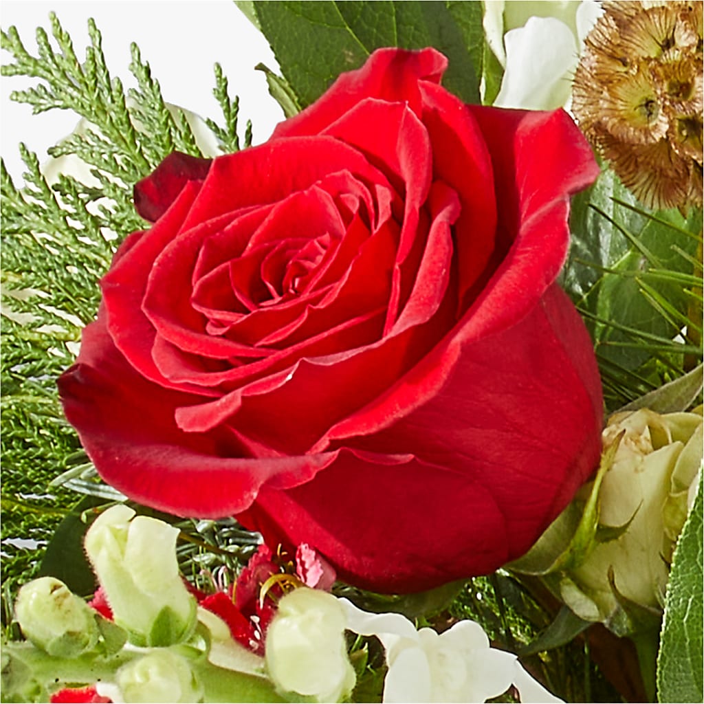 Deck the Halls Bouquet –  Print A Bunch Florists, Orleans ON