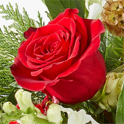 Deck the Halls Bouquet –  Print A Bunch Florists, Orleans ON