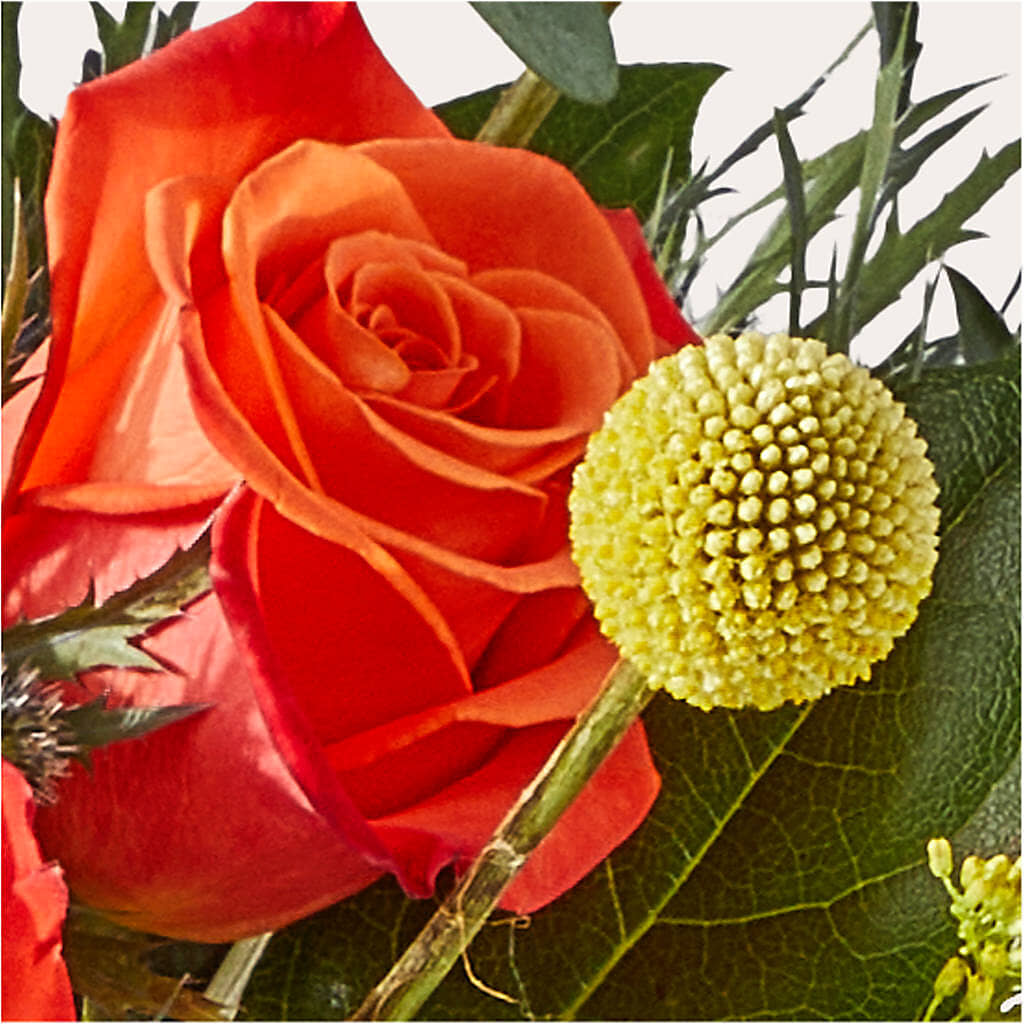 Disco Bouquet –  Print A Bunch Florists, Orleans ON