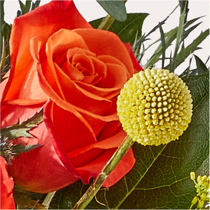 Disco Bouquet –  Print A Bunch Florists, Orleans ON