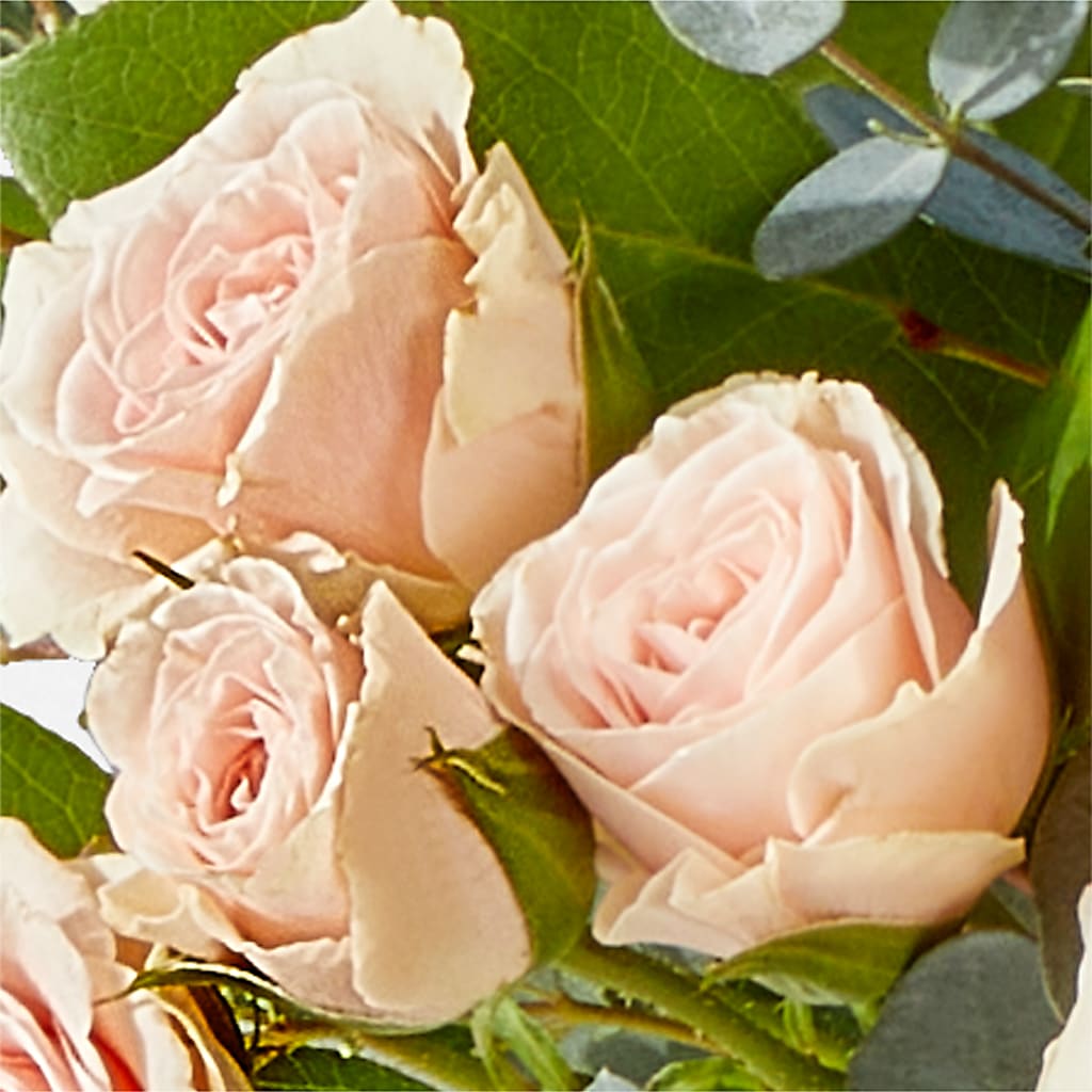 Inspired Bouquet –  Print A Bunch Florists, Orleans ON