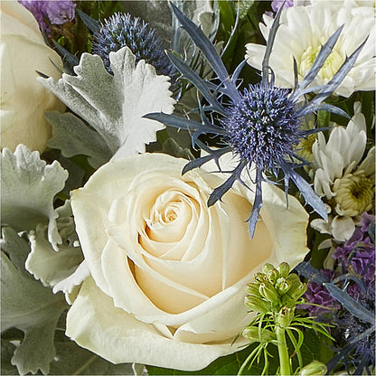 Shooting Star Bouquet –  Print A Bunch Florists, Orleans ON