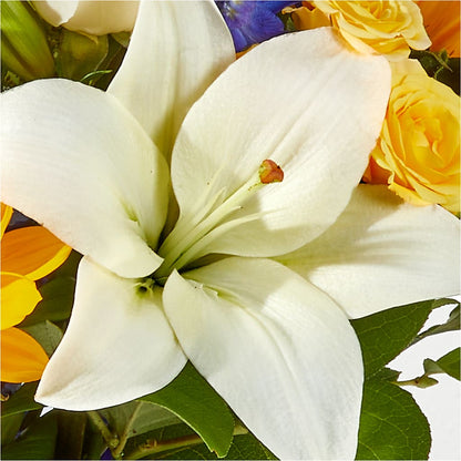Wonderfully Sunny Bouquet –  Print A Bunch Florists, Orleans ON