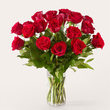 The One Red Rose Bouquet –  Print A Bunch Florists, Orleans ON