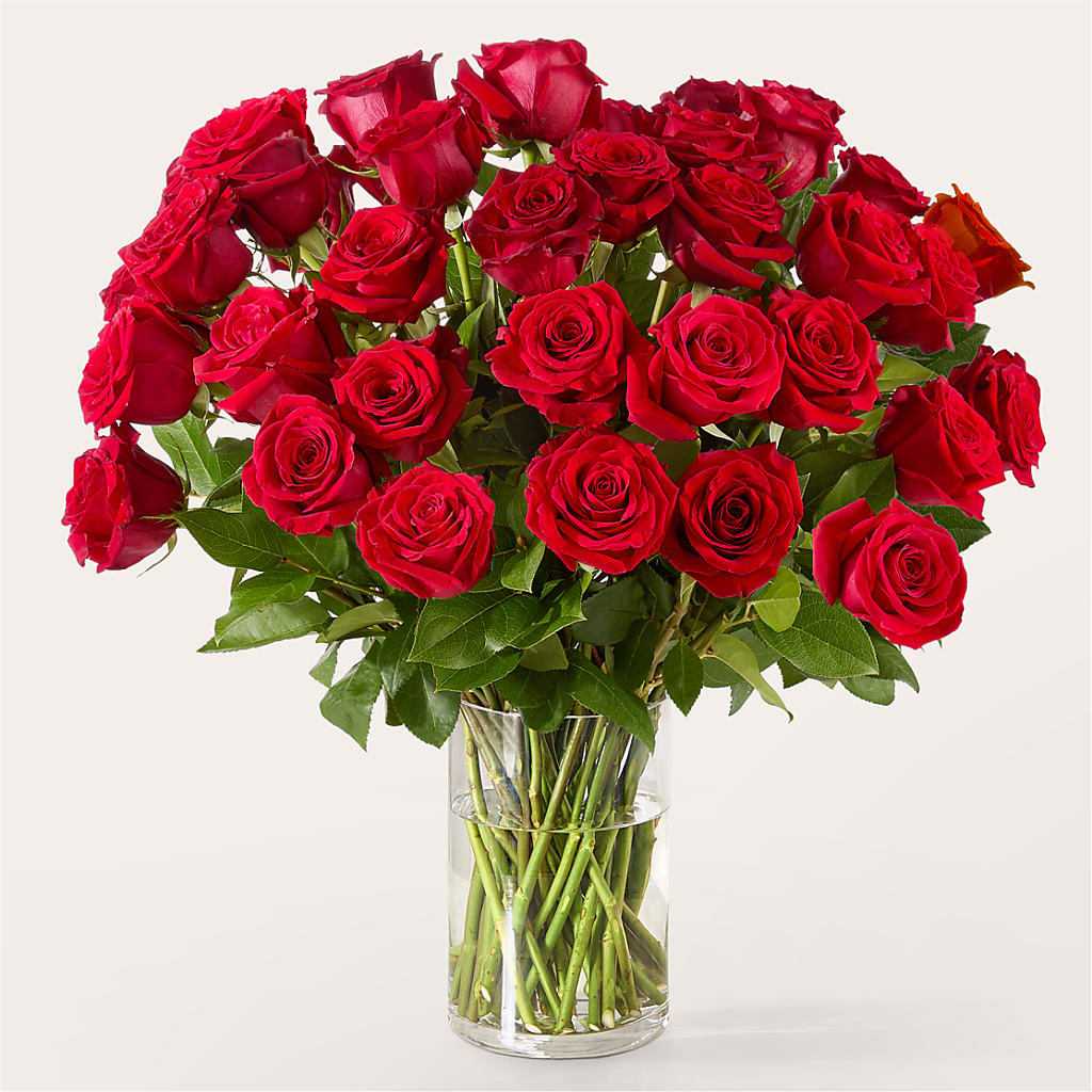 The One Red Rose Bouquet –  Print A Bunch Florists, Orleans ON