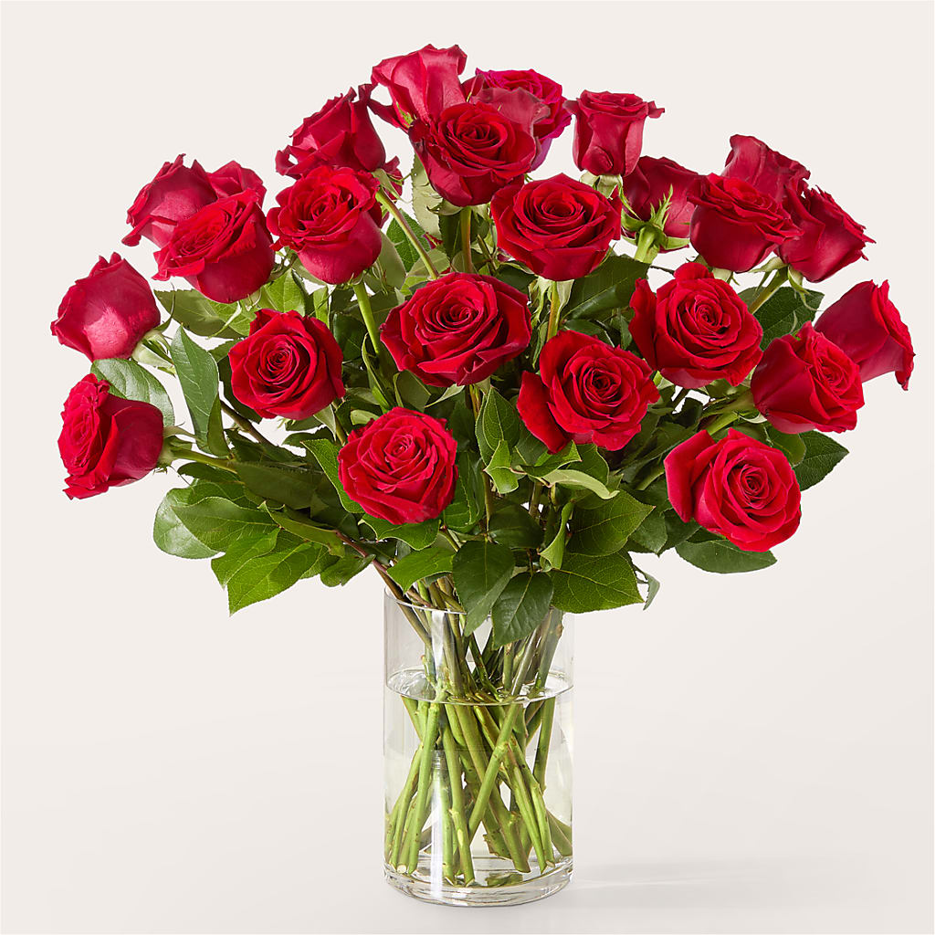 The One Red Rose Bouquet –  Print A Bunch Florists, Orleans ON