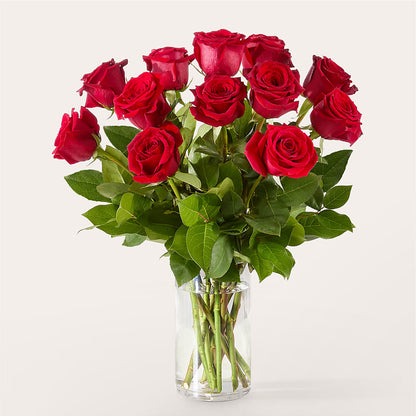 The One Red Rose Bouquet –  Print A Bunch Florists, Orleans ON