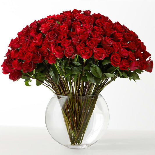 The Idealist –  Print A Bunch Florists, Orleans ON