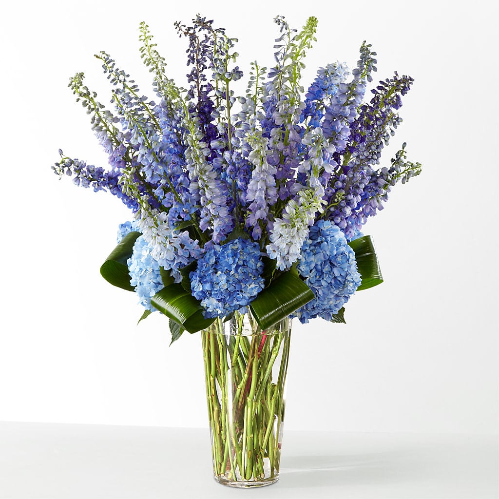 The Editorial –  Print A Bunch Florists, Orleans ON
