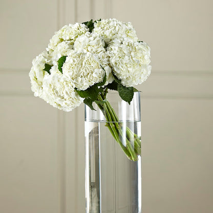 White Hydrangea Hand-Tied Bouquet –  Print A Bunch Florists, Orleans ON