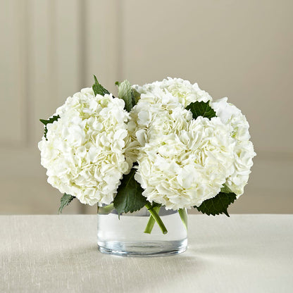 White Hydrangea Bouquet –  Print A Bunch Florists, Orleans ON